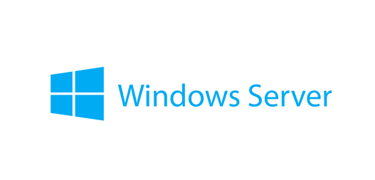 Lenovo MS WinSrv 2019 CAL 5 Device