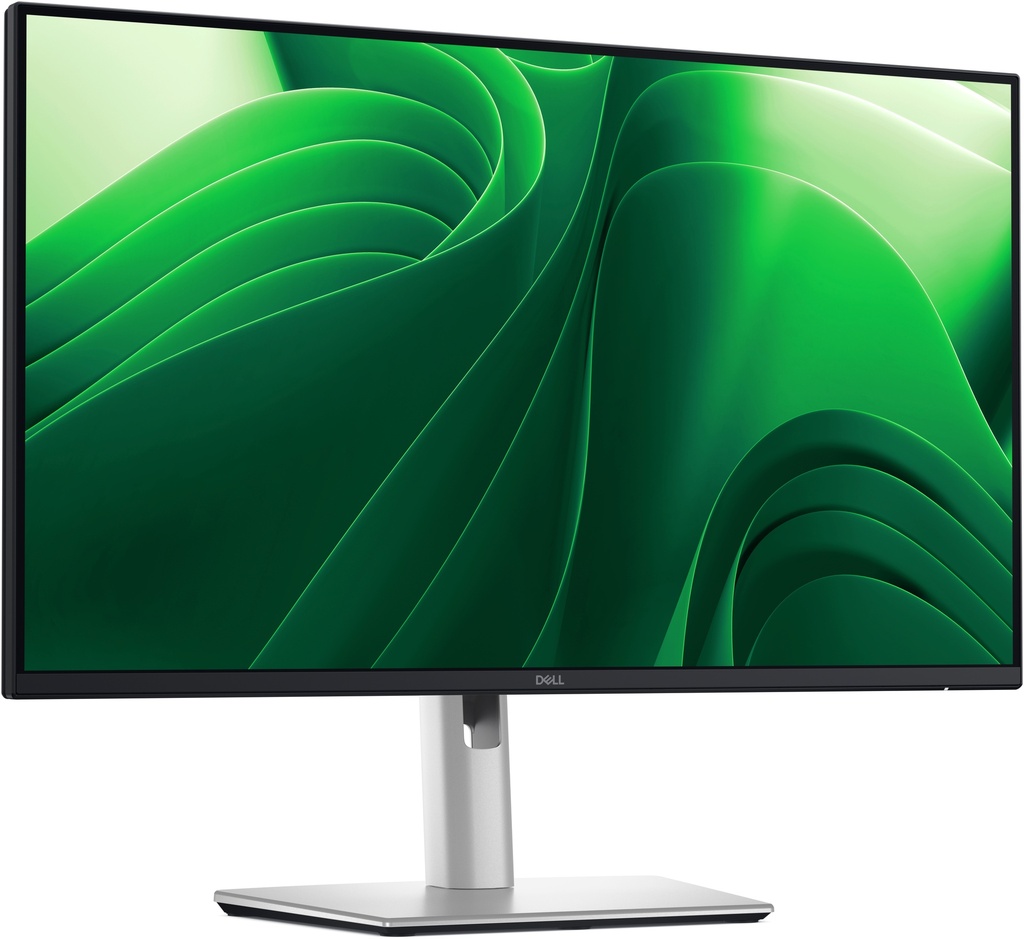 Dell Monitor DELLP2425D