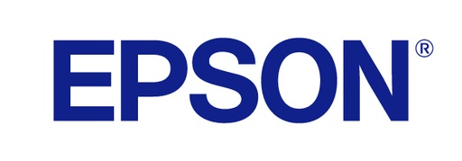Epson Tonercartridge C13S110080
