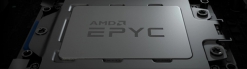 AMD Processeur (CPU) 100000000055
